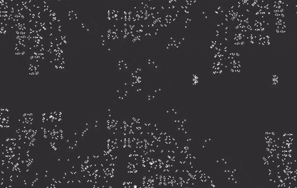 21-IT Maktab - School 21.